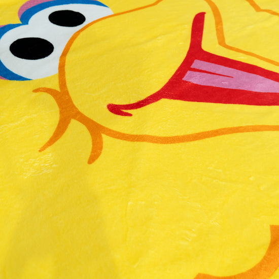 Housse de Coussin 47 x 47cm - Big Bird05