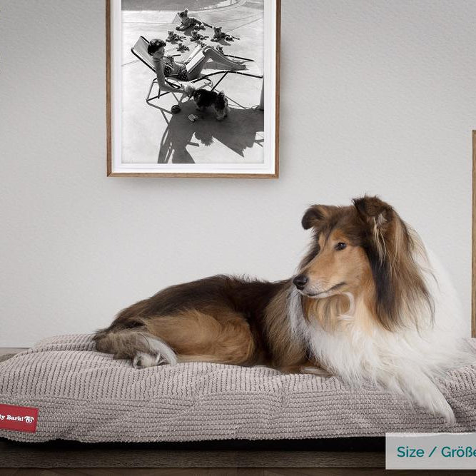 "Le Matelas Classique Par Mighty Bark" - Coussin Pour Chien, Orthopédique à Mémoire De Forme, Matelas Pour Chien, Lit Pour Chien, Petit, XXL - Pompons Vison