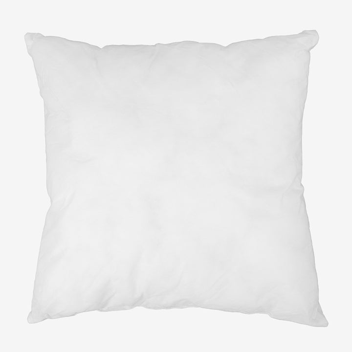 Grand Coussin à Recouvrir 60 x 60cm 01
