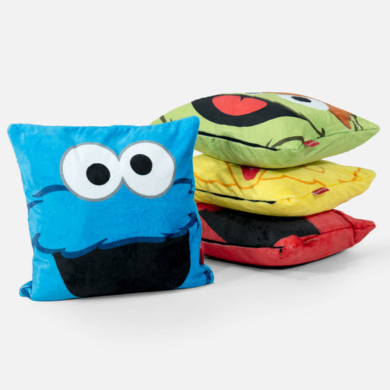Housse de Coussin 47 x 47cm - Big Bird04